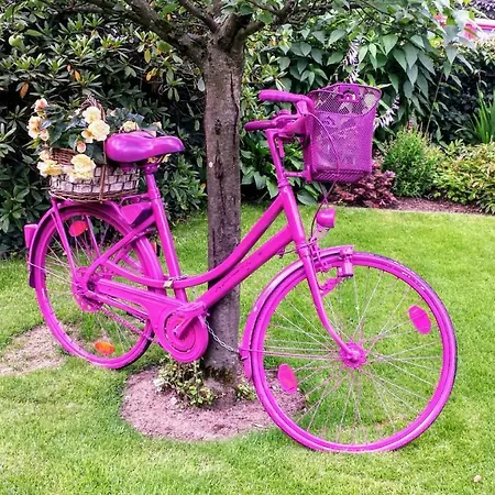 Mach Mal Pause Bei Geni & Bernd Apartman Rösrath