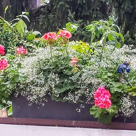 Mach Mal Pause Bei Geni & Bernd Appartement Rösrath