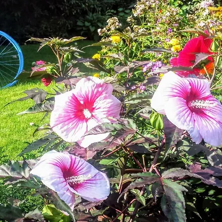 Apartman Mach Mal Pause Bei Geni & Bernd Rösrath