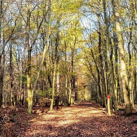 Mach Mal Pause Bei Geni & Bernd