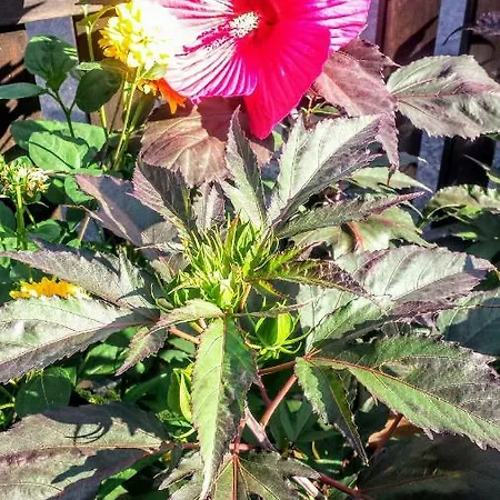 Mach Mal Pause Bei Geni & Bernd Apartamento *