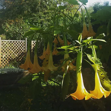 Apartman Mach Mal Pause Bei Geni & Bernd