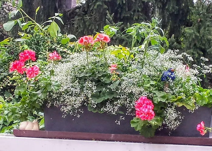 Mach Mal Pause Bei Geni & Bernd Lejlighed Rösrath