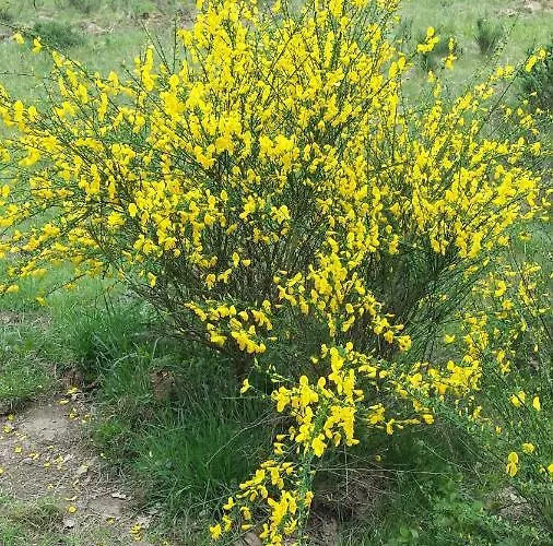 Mach Mal Pause Bei Geni & Bernd Lejlighed Rösrath