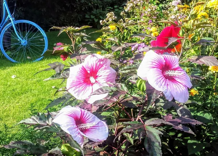 Lejlighed Mach Mal Pause Bei Geni & Bernd Rösrath