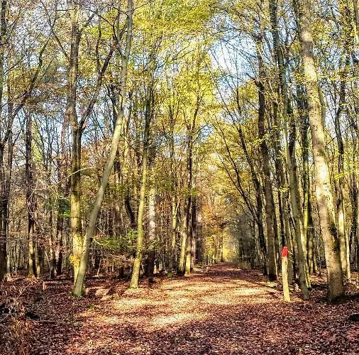 Mach Mal Pause Bei Geni & Bernd