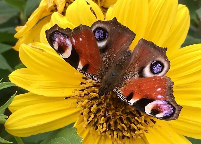 Mach Mal Pause Bei Geni & Bernd *