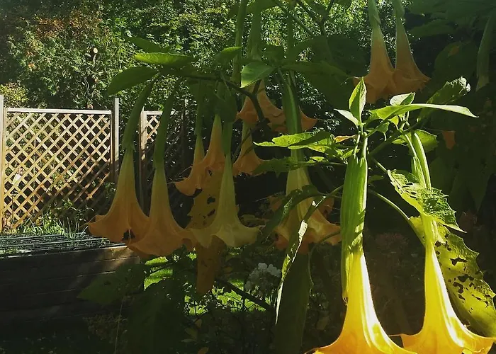 Lejlighed Mach Mal Pause Bei Geni & Bernd